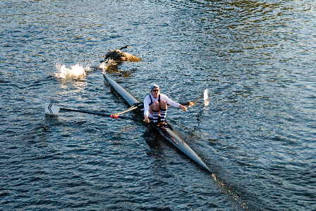 the bow and the goose - the presence of any person in this photograph does not imply any type of sexual orientation