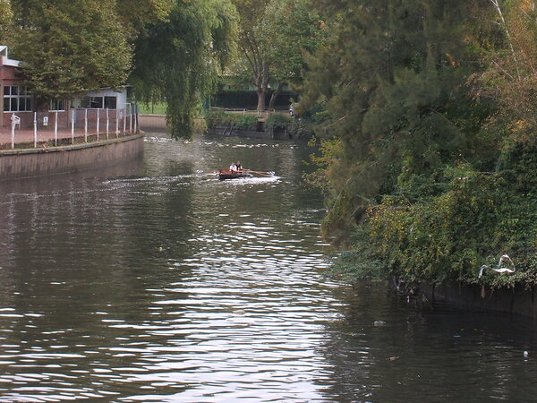 Rowing on the Tigre