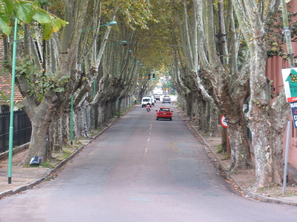 Tigre Streets