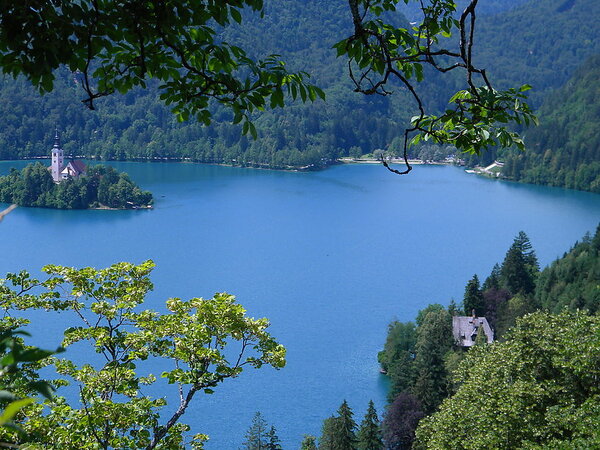 Bled2011 16