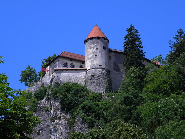 Bled2011 40